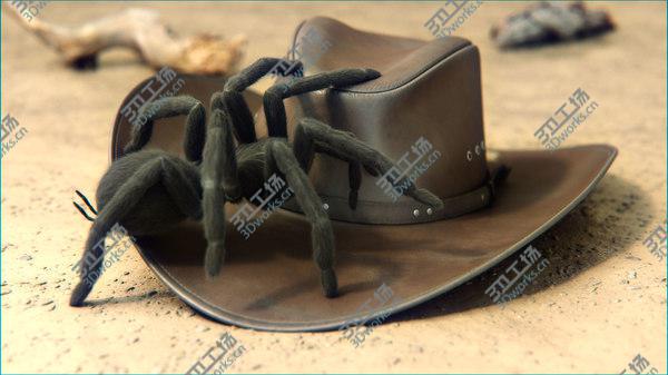images/goods_img/20210312/3D Tarantula/3.jpg